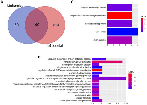 Figure 3 Bioinformatics analysis of genes related to AVL9 expression.