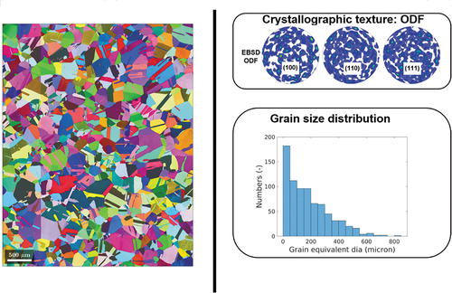 Figure 2. Representative SEM-EBSD image of the creep relaxation sample with orientation distribution figures and grain size distribution.