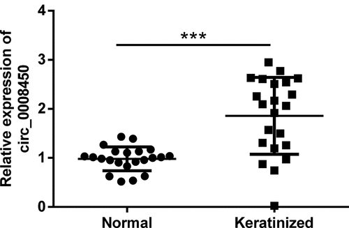 Figure 1. Circ_0008450 was highly expressed in keratinized epithelial tissues. Keratinized epithelial tissues and normal epithelial tissues were obtained for qRT-PCR experiment. The expression of circ_0008450 was assessed. *** p < 0.001