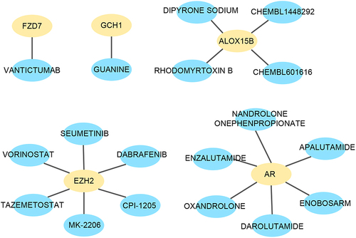 Figure 7 Drug Targeting of hub genes in DGIdb database.