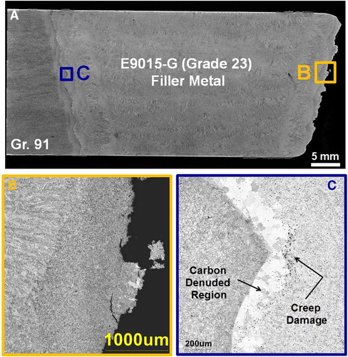 Figure 40. Example of damage in a dissimilar repair weld made in Grade 91 steel using E9015-G (Grade 23) filler metal [Citation41]. See Table 5 for test conditions and results. (A) Macro image of failed creep specimen 6A-1; (B) image of fusion line failure; (C) image of damage at the unfailed fusion line. Note that the maximum level of damage is adjacent to the visible carbon-denuded zone and not within the carbon-denuded zone.