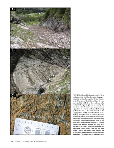 FIGURE 5. Signs of bedrock erosion by dirty avalanches. (A) Looking down the Guggigraben, dirty avalanche deposits fill the channel up to 10 m above the thalweg. Signs of wear are especially evident on the southern gully wall (middle-right in photo), as seen by the smoothed bedrock texture and lack of moss or vegetation on scoured surfaces. (B) Looking up from the fan to the southern wall of the Guggigraben, freshly eroded bedrock is evident by its light color in contrast to more weathered surfaces. New sediment has been deposited by melting snow even on these steep rock slopes. Moss and vegetation grow on the walls above the reach of avalanches. (C) Direct evidence of bedrock erosion by dirty avalanches: scratch mark (above the scale) and impact mark (upper right) (note on the scale shown 1 unit = 6.67 mm). These features are located several meters above the stream channel and were identified shortly after snowmelt.