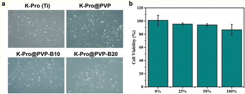 Figure 4. Biocompatibility of electrospun borneol/PVP antibacterial coating. (a) Photographs of corneal epithelial cell morphology and (b) cell viability after co-cultured with K-Pro, K-Pro@PVP, K-Pro@PVP-B10, and K-Pro@PVP-B20 for 24 h.
