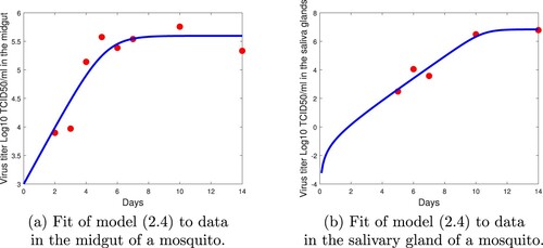 Figure 2. Fit of model (Equation4(4) Within−vector model (M4):Pm′=rmPm(1−Pm/Km)−mtPm,Ps′=mtPm2B+Pm2+rsPs(1−Ps/Ks),(4) ) to data in the midgut and salivary glands in the mosquito.