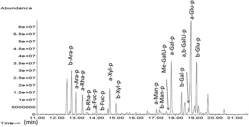 Figure 5. Nopal chromatogram: p (pyranose) and f (furanose) indicate the different cyclic isomers; a (alpha) and b (beta) indicate the different anomers. Acronyms. Ara: Arabinose, Rha: Rhamnose, Fuc: Fucose, Xyl: Xylose, Man: Mannose, Gal: Galactose, Glu: Glucose, GaIU: Galacturonic Acid.