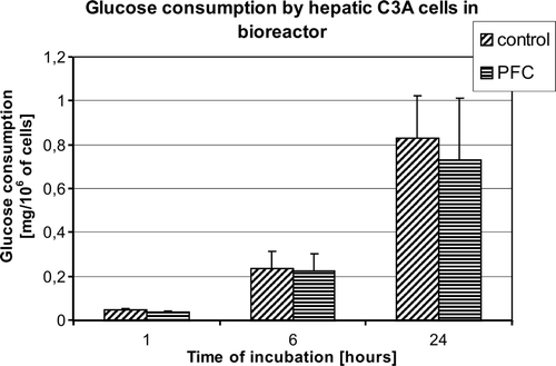 Figure 4.  Glucose consumption by human hepatoma C3A cells in bioreactor after 1, 6, and 24 hours of perfusion. Control – bioreactor perfused with control DMEM medium; PFC – bioreactor perfused with DMEM medium supplemented with 5% of PFC emulsion.