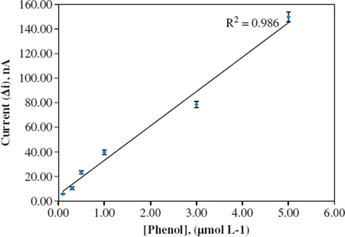 Figure 6. Calibration curve for phenol biosensor in the phosphate buffer (pH 8.0), operating potential is −0.09 V, 30 °C).