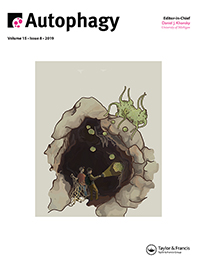 Cover image for Autophagy, Volume 15, Issue 8, 2019