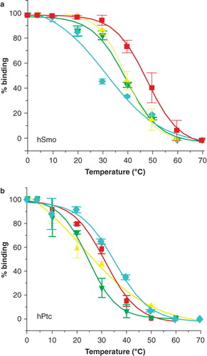 Figure 3. Thermostability of the human receptors of the Hedgehog pathway, hPtc and hSmo, in mild surfactants. Samples of hPtc or hSmo purified in C12-b-M, PCC-a-M, PPC-b-M or BPC-b-M were heated 30 min at increasing temperatures ranging from 4–70°C prior to injection on the reference flow cell (Fc1) and measure flow cell (Fc2) (coupled with N-SHh for hPtc and with CPN for hSmo experiments). Sensorgrams were recorded and the percentage of remaining native hSmo (a) and hPtc (b) was determined (SI). Red squares correspond to PCC-a-M; yellow triangles to C12-b-M; green inverted triangles to BPC-b-M and blue diamonds to PPC-b-M. The results shown are from a single representative experiment performed in triplicate with error bars representing the SEM. Several other experiments were performed and gave similar apparent T50-s.