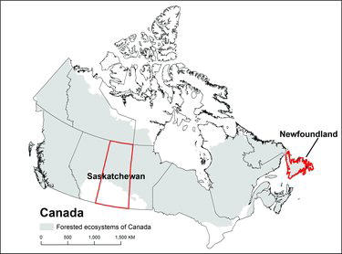 FIG. 2. Study area: Canada, Saskatchewan, and Newfoundland.