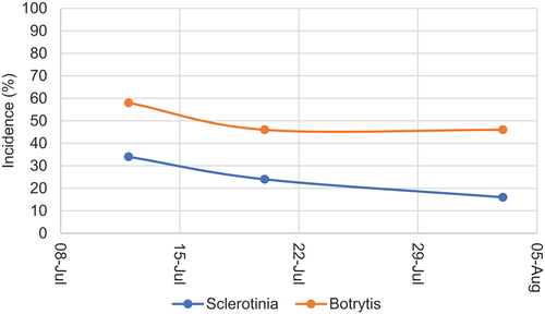 Fig. 2 Average incidence of Botrytis spp. and S. sclerotiorum-infected alfalfa florets (n=5 fields) at three sampling dates in 2023 determined by plating on semi-selective media.