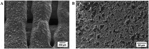 Figure 14. (A) and (B) are the surfaces of CS and CP sintered structures recorded using FESEM at 1000X.