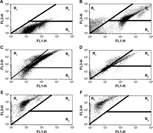 Figure 10 Flow cytometry analysis of Escherichia coli.Notes: (A) Bacteria treated with medium only as a control, (B) bacteria treated with AuNPs, (C) bacteria treated with GlcN-AuNPs, (D) bacteria treated with ultraviolet-irradiated GlcN-AuNPs, (E) bacteria treated with laser-irradiated GlcN-AuNPs, and (F) bacteria treated with standard kanamycin.Abbreviations: AuNPs, gold nanoparticles; GlcN-AuNPs, glucosamine-functionalized gold nanoparticles; R, R-region.