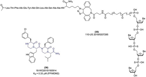 Figure 10. Exemplary peptide inhibitors of MDM2/X protein.