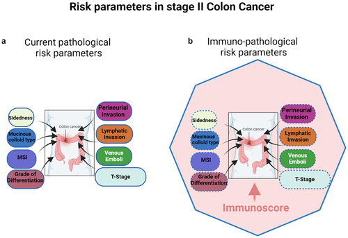 Figure 1. (a) Multivariable analysis of risk parameters in stage II CC patients. The size of the box represents the importance (hazard ratio) of each parameter regarding prognosis, according to current pathological parameters. (b) Multivariable analysis of risk parameters in stage II CC patients. The size of the box represents the importance (hazard ratio) of each parameter regarding prognosis, according to immuno- pathological parameters. Immunoscore (the pink zone) occupies the highest hazard ratio and revealed as the sole significant parameter in multivariable analysis, therefore being the strongest and most significant risk-parameter in stage II CC. The plain blue line of the polygon represents significance in cox multivariable analysis, specifically referring to immunoscore, while the dotted blue lines of the boxes denote non-significance for all the cited risk parameters.