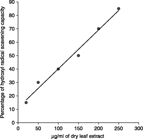 Figure 2.  Hydroxyl radical scavenging capacity of dried aqueous extract of Tinospora cordifolia leaves. Methods for preparation of dried leaf extract and determination of hydroxyl radical scavenging activity were as described in text.