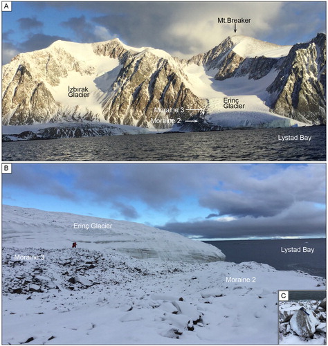 Figure 5. (A) General view of Erinç Glacier, (B) Close-up view of moraine ridges in front of the Erinç Glacier, (C) An example of pink granite boulder within the till.