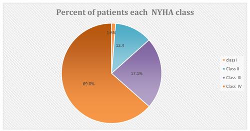 Figure 2 Proportion of NYHA classification system among heart failure patients taking ACEIs at the cardiac clinic of FHCSH.