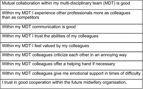 Figure 1 Eight factor-statements relating to the measurement of within multidisciplinary team collaboration.