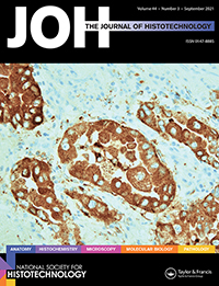 Cover image for Journal of Histotechnology, Volume 44, Issue 3, 2021