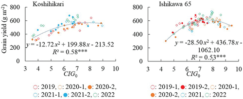 Figure 8. Relations between CIG0 and grain yield in Koshihikari and Ishikawa 65.