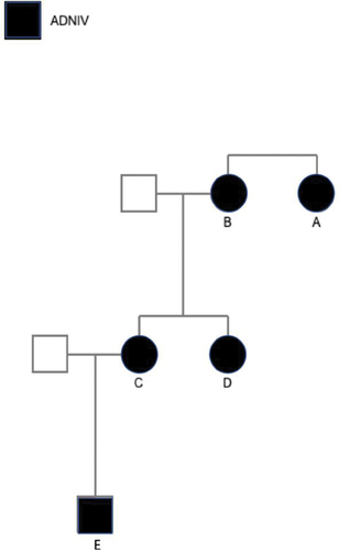 Figure 1. Family pedigree illustrating the relationships among all five members of the patients represented in this case series.