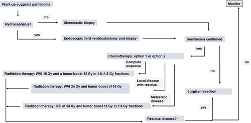 Figure 4 Diagram of general management plan. Exceptions may occur. Option 1: four cycles of carboplatin on day 1 at 600 mg/m2 and etoposide at 150 mg/m2/day on days 1–3. Option 2: four cycles of carboplatin 600 mg/m2 on day 1 and VP16 90mg/m2 on days 1–3 alternating with ifosfamide 1800 mg/m2 on days 1–5 and VP16 90 mg/m2 on days 1–5.