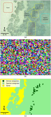 Figure 4. (a) Close ups on the UAV image, (b) object-based segmentation result, and (c) classification result.