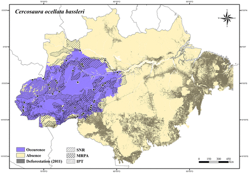 Figure 33. Occurrence area and records of Cercosaura ocellata bassleri in the Brazilian Amazonia, showing the overlap with protected and deforested areas.