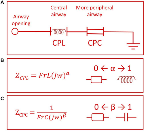 Figure 2 Fractional-order two compartment model used (A), including a constant phase inertance (CPL) and a constant phase compliance (CPC) composed by a fractional inertance (FrL) and a fractional compliance (FrC). The ability of the fractional elements FrL and FrC to describe the resistive and reactive respiratory properties, depending of α and β values, is described in (B) and (C), respectively.
