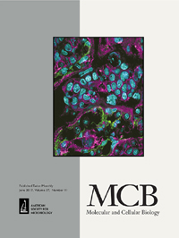 Cover image for Molecular and Cellular Biology, Volume 37, Issue 11, 2017