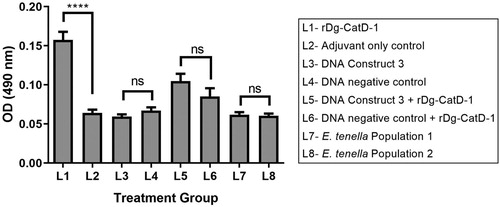 Figure 6. Comparative analysis of egg yolk anti-Dg-CatD-1 IgY antibodies from the long-term vaccine trial. Comparative ELISA showing levels of anti-Dg-CatD-1 IgY antibodies in egg yolk from birds in treatment Groups L1 – L8 (as indicated in the figure). Eggs were collected from each group at days 64 and 65 relative to the first bleed, and diluted yolks from individual eggs were used at 1/1600. Each bar represents mean ± SEM, n = 3–10. Non-significant (ns) and significant differences (****) between treatment groups are shown (t-test, P < 0.0001).