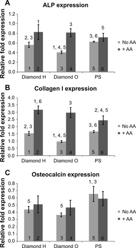 Figure 8 Expression of the bone-specific genes.Notes: (A–C) Gene expression of the osteogenic markers ALP, collagen I, and osteocalcin determined by real-time PCR in Saos-2 cells after 2-week culture in the growth medium (no AA) or with added AA (+ AA) on H-terminated NCD films (diamond H), on O-terminated NCD films (diamond O), and on PS. Seeding density was 25×103 cells/cm2, differentiation occurred after confluence. The relative fold expression was related to the control cells grown on PS at day 0 of differentiation and was normalized by GAPDH expression. The numbers above the columns mark statistically significant (P≤0.05) difference compared to the group labelled with the same number at the base of the column.Abbreviations: ALP, alkaline phosphatase; PS, cell culture polystyrene dishes; AA, ascorbic acid; collagen I, type I collagen; PCR, polymerase chain reaction; NCD, nanocrystalline diamond; GAPDH, glyceraldehyde 3-phosphate dehydrogenase.