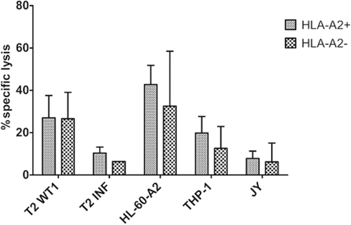 Figure 7. Functional TA-specific T-cells can also be generated from HSPC from HLA-A2 negative donors. Percentage specific lysis determined via 4-h 51chromium release assay after co-culture of T-cells with T2 cells pulsed with relevant WT1 or irrelevant influenza (INF) peptide (10 µg/ml), HL-60-A2 (HLA-A2+ WT1+), THP-1 (HLA-A2+ WT1+) or JY (HLA-A2+ WT1−) cells. Effector/target ratio 5/1. Mean and s.d. are shown. T-cells generated from HLA-A2+ (n = 5) and HLA-A2− (n = 4) HSPC. Results from different sample groups (healthy donors, patients in remission and AML patients at diagnosis) were pooled. Mann-Whitney U test was used to assess statistical significance. Differences were not significant