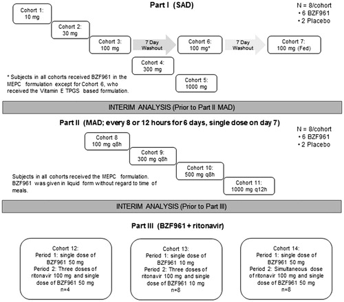 Figure 2. Study design.