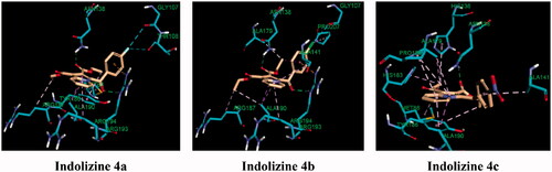 Figure 11. Predicted binding interaction of indolizines (4a–4d) with anthranilate phosphoribosyl binding domain (PDB 3R6C). Ligand and receptor were represented as solmon and cyan respectively. Hydrogen bonding contact is shown with green dotted lines. Halogen bonding and hydrophobic intreactions are shown with cyan and violet respectively.
