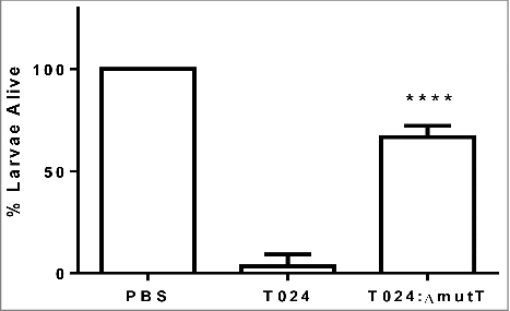 Figure 2. Survival of G. mellonella after 48h following challenge with 1–10 CFU per larvae of V. parahaemolyticus T24 or T24:ΔmutT. Groups of 10 larvae were challenged. The results shown are the means of three replicates. The error bar indicates standard deviation.