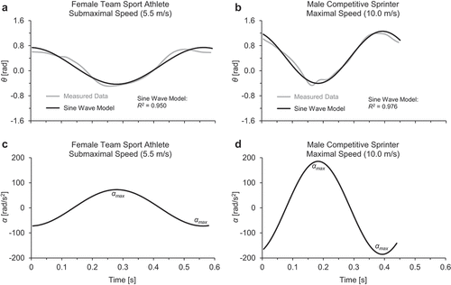 Figure 2. Panels (a) and (b) illustrate measured and modelled thigh angle data θ(t) during a gait cycle for the right leg of two individual participants. The model θ(t) was generated using EquationEquation (1)(1) θ(t)=θtotal2sin(2πft+θphase)+θshift(1) with measured values of θtotal and f, and adjusted for phase and offset (θphase and θshift). Panels (c) and (d) illustrate modelled thigh angular acceleration α(t) during the gait cycle, with model α(t) generated using EquationEquation (3)(3) α(t)=dωdt=−θtotal2(2πf)2sin(2πft+θphase)(3) with measured values of θtotal and f. (a and c) Female team sport athlete at submaximal speed. (b and d) Male competitive sprinter at maximal speed.