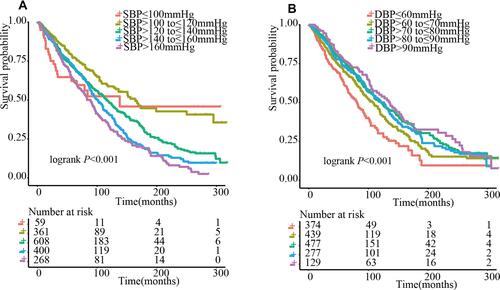 Figure 2 Kaplan–Meier survival curves illustrating the rate of all-cause mortality according to SBP categories (A) and DBP categories (B).