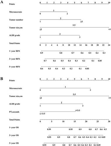 Figure 1 The recurrence-free survival (RFS) nomogram (A) and overall survival nomogram (OS) nomogram (B) for predicting postoperative recurrence and death in HCC patients.