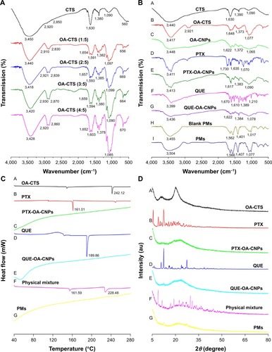 Figure 1 (A) FT-IR spectra of CTS and the mixtures of OA and CTS at weight ratios from 1:5 to 4:5. (B) FT-IR spectra of CTS, OA-CTS, OA-CNPs, PTX, PTX-OA-CNPs, QUE, QUE-OA-CNPs, blank PMs, and PMs. (C) DSC thermograms and (D) XRD patterns of OA-CTS, PTX, PTX-OA-CNPs, QUE, QUE-OA-CNPs, physical mixture of all solid objects, and PMs.Abbreviations: FT-IR, Fourier transform infrared spectroscopy; CTS, chitosan; OA, oleic acid; OA-CTS, OA-conjugated CTS; OA-CNPs, OA-CTS nanoparticles; PTX, paclitaxel; PTX-OA-CNPs, nanoparticles loaded with PTX; QUE, quercetin; QUE-OA-CNPs, nanoparticles loaded with QUE; PMs, polymeric microspheres; DSC, differential scanning calorimetry; XRD, X-ray diffraction.