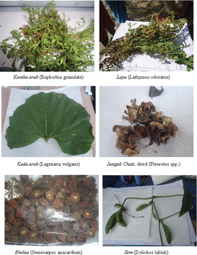 Figure 3. Indigenous foods of Santhal tribal community of Jharkhand.