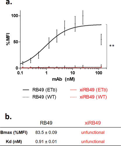 Figure 1. Antibody functionality assay. (a) FACS binding curves of RB49 (black) and xiRB49 (red). MAb specificity was assessed with CHO-ETB (solid line) and CHO-WT (dotted line). (b) Table of apparent Kd (nM) and Bmax (% MFI) for RB49 and xiRB49. Data are presented as mean ± SD.