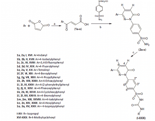 Scheme 1. Synthesis of pyridazinone-based benzenesulphonylurea derivatives. Reagents and conditions: (a) maleic anhydride, 1,1,2,2-tetrachloroethane, AlCl3; (b) Absolute alcohol, reflux 12–18 h; (c) Appropriate isocyanate, K2CO3, dry acetone, reflux 24–72 h.