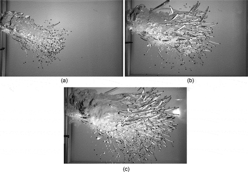 Fig. 3. Snapshot of blowdown at 100 ms for (a) 4.0, (b) 8.0, and (c) 12.0 MPa.