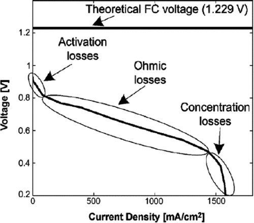 Figure 1. Simple FC polarization diagram [Citation6].