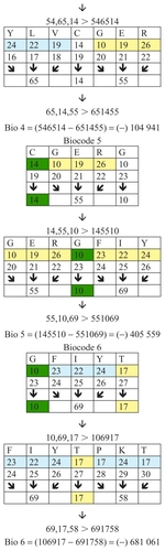 Figure 3 Examples of biocodes.