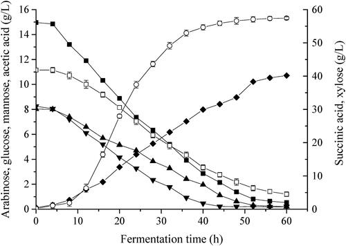 Figure 3. Time course of production of organic acids in batch fermentations with xylose mother liquor (XML). Cells were grown in a 1.3 L stirred bioreactor with a XML content of 110 g/L, corn steep liquor power (CSLP) of 18.86 g/L, and MgCO3 of 69.12 g/L. Symbols are arabinose (■), glucose (▲), mannose (▼), acetic acid (◆) xylose (△) and succinic acid (○).