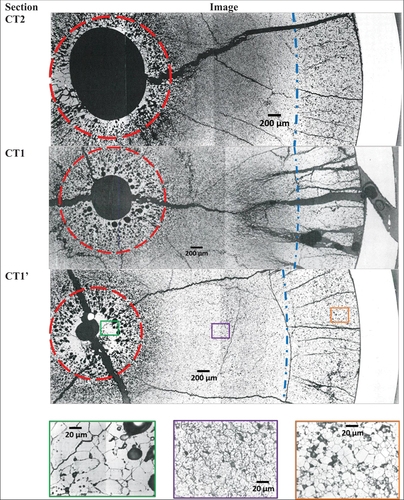 Fig. 12. Images of the transversal sections CT1, CT1’, and CT2 where molten zones were observed. The molten zone is encircled with red dashed lines. The blue dash-dotted line indicates the boundary between the fuel at the periphery with the original microstructure and the highly restructured fuel due to fission gas release. All images were taken as polished, except for the zoom-ins, which were taken from etched samples.