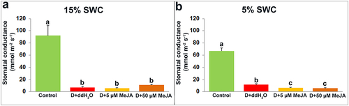 Figure 7. The effect of foliar applied MeJA on I. walleriana stomatal conductance at 15 (A) and 5% (B) SWC. SWC – soil water content. Results are presented as mean ± SE, with significant differences between treatments based on LSD test (p ≤ 0.05).